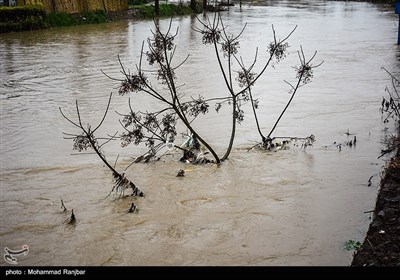 سیل و آبگرفتگی در پیربازار رشت