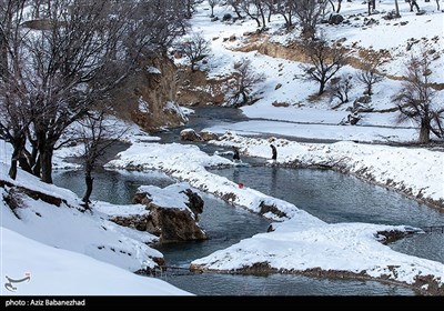 بارش برف در شهرستان الیگودرز