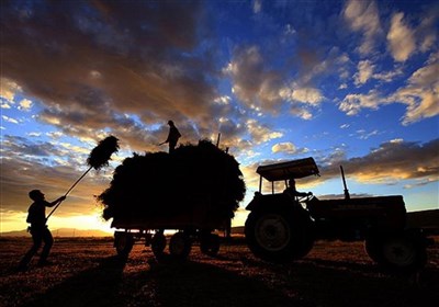 تركيه،كشاورزي،كشور،اراضي،غذايي،زمين،كاهش،اقتصادي،دولت،اقليمي ...