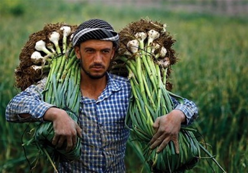 کشور ترکیه , 