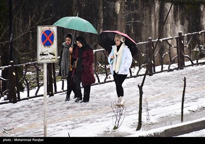 بارش برف در رشت