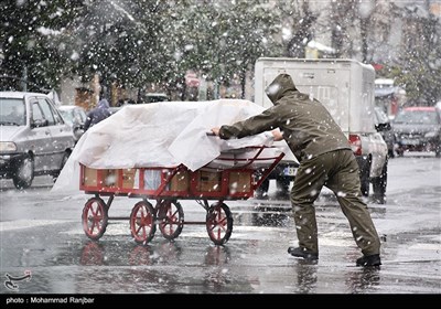 بارش برف در رشت