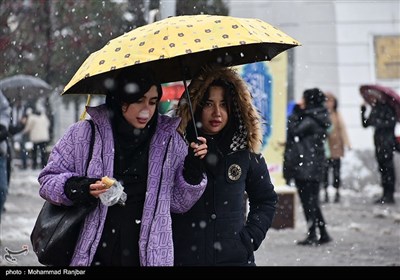 بارش برف در رشت