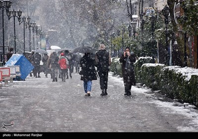 بارش برف در رشت