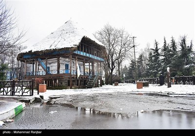 بارش برف در رشت