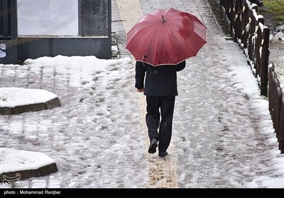بارش برف در رشت
