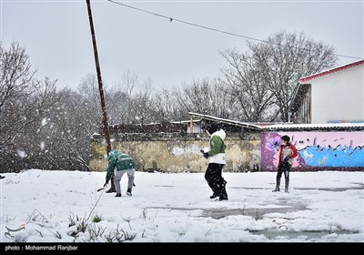 بارش برف در رشت