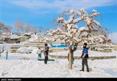 بارش برف در اراک و همدان