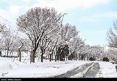 بارش برف در اراک و همدان