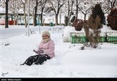 بارش برف در اراک و همدان