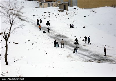 بارش برف در اراک و همدان