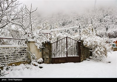 بارش برف در ارتفاعات رحیم آباد - گیلان