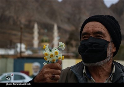 حال و هوای نیمه شعبانی شهر کرمان