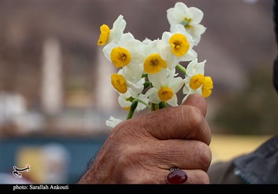 حال و هوای نیمه شعبانی شهر کرمان