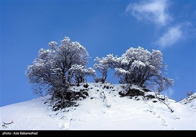 Зимняя природа Ирана - Провинция Лорестан