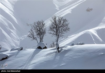 Зимняя природа Ирана - Провинция Лорестан