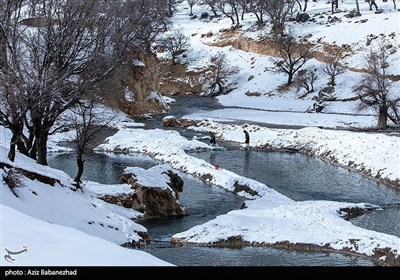 Зимняя природа Ирана - Провинция Лорестан