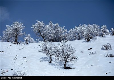 Зимняя природа Ирана - Провинция Лорестан