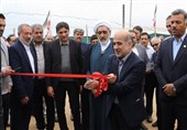 سرمایه گذاری 800 میلیاردی در پرورش ماهی بوشهر