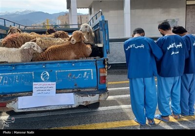 نشست تعامل و هم اندیشی اصحاب رسانه با فرمانده انتظامی خراسان جنوبی