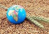 تأمین امنیت غذایی در خراسان جنوبی تضمین شده است