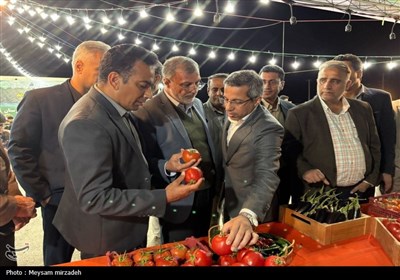 جشنواره گوجه کهورستان