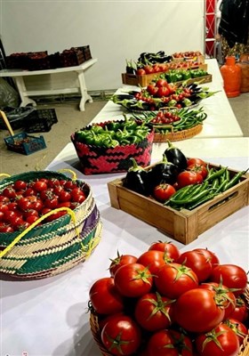 جشنواره گوجه کهورستان