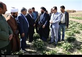 بازدید استاندار خراسان جنوبی از 3 واحد صنعتی شهرستان خوسف