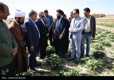 بازدید استاندار خراسان جنوبی از 3 واحد صنعتی شهرستان خوسف