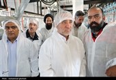 بازدید استاندار خراسان جنوبی از 3 واحد صنعتی شهرستان خوسف