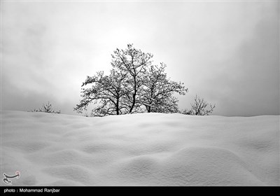 طبیعت برفی مسیر سیاهکل به دیلمان