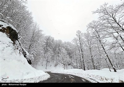 طبیعت برفی مسیر سیاهکل به دیلمان