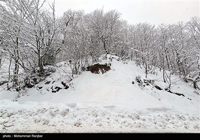 طبیعت برفی مسیر سیاهکل به دیلمان