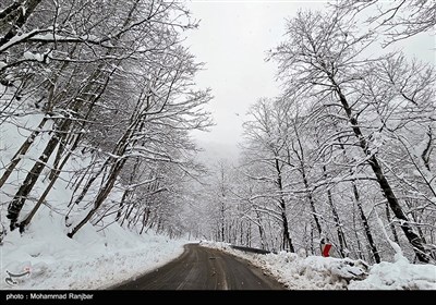 طبیعت برفی مسیر سیاهکل به دیلمان