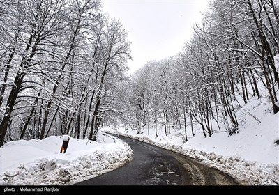 طبیعت برفی مسیر سیاهکل به دیلمان
