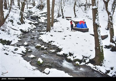 طبیعت برفی مسیر سیاهکل به دیلمان
