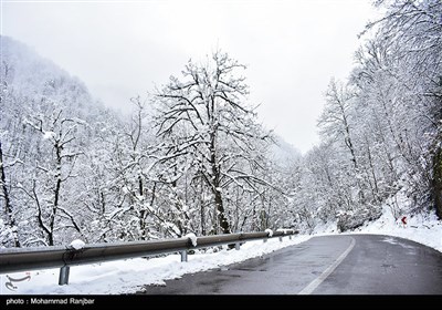 طبیعت برفی مسیر سیاهکل به دیلمان