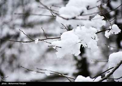 طبیعت برفی مسیر سیاهکل به دیلمان