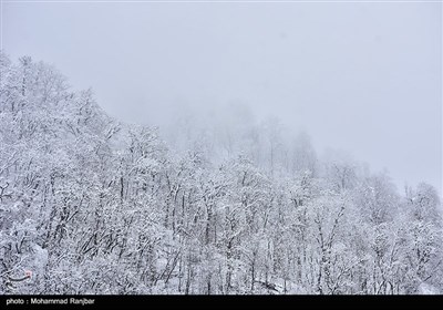 طبیعت برفی مسیر سیاهکل به دیلمان