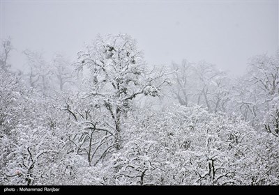 طبیعت برفی مسیر سیاهکل به دیلمان