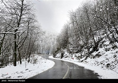 طبیعت برفی مسیر سیاهکل به دیلمان