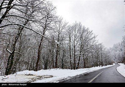 طبیعت برفی مسیر سیاهکل به دیلمان