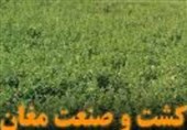 احتمال جدی بازگشت کشت و صنعت مغان به بخش خصوصی