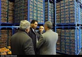 بازدید از زنجیره تأمین محصولات مصرفی ماه مبارک رمضان و میوه شب عید
