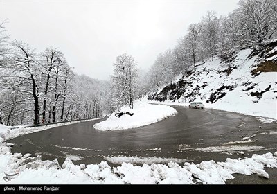Зимняя природа Ирана - Дорога Сияхкал-Дейламан