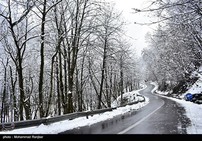 Зимняя природа Ирана - Дорога Сияхкал-Дейламан