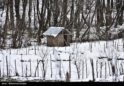 Зимняя природа Ирана - Дорога Сияхкал-Дейламан