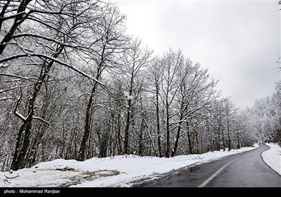 Зимняя природа Ирана - Дорога Сияхкал-Дейламан