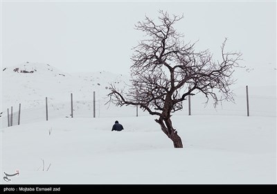 طبیعت برفی روستاهای بخش انزل ارومیه