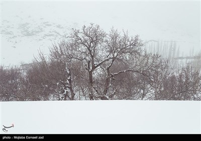 طبیعت برفی روستاهای بخش انزل ارومیه